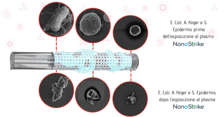patogeni prima e dopo il trattamento con plasma freddo NanoStrike