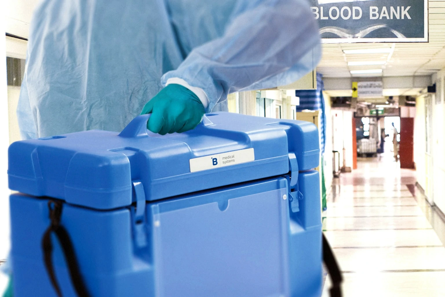 Trasporto sacche di sangue sistema trasfusionale