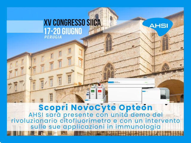 15° Congresso SIICA, 17-20 Giugno, Perugia